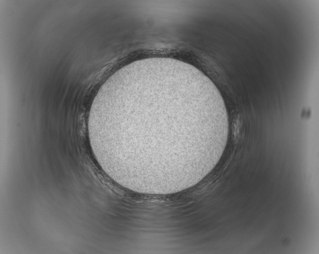 X0000110761204200907061046