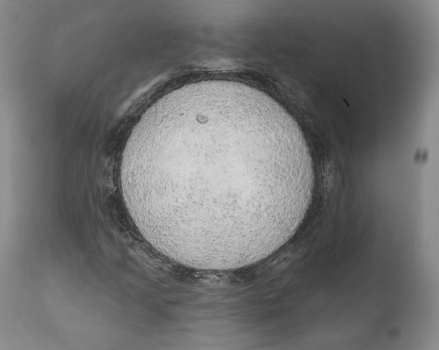 X0000110761205200907061046