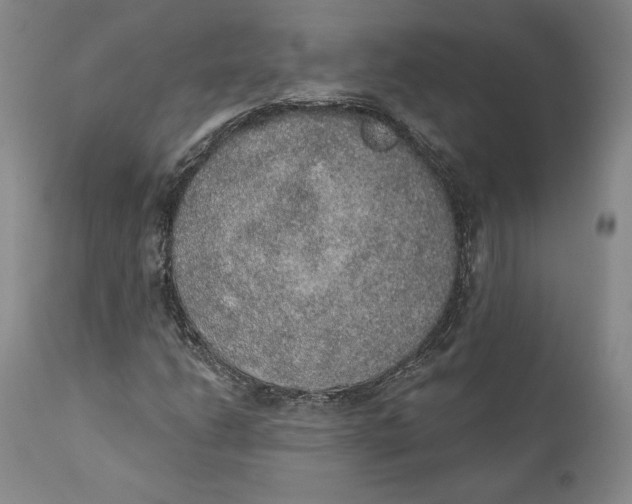 X0000110761206200907061046