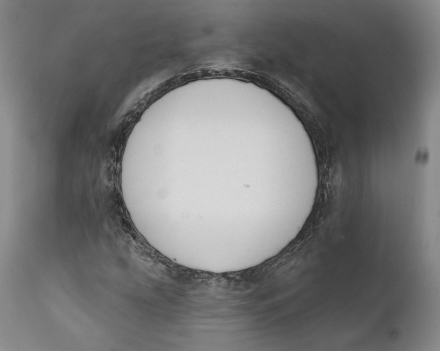 X0000110761207200907061046