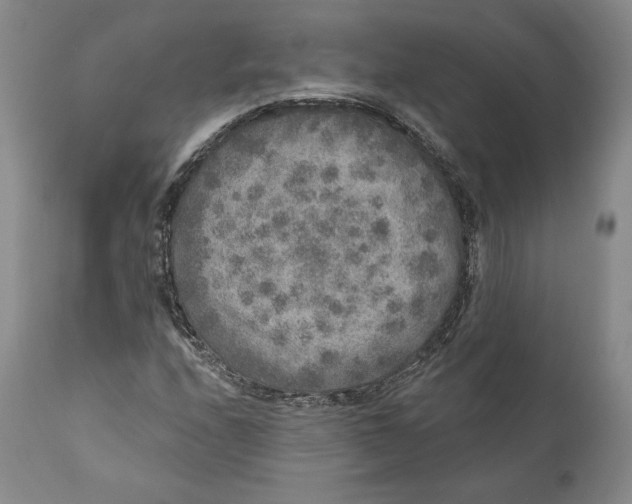 X0000110761208200907061046