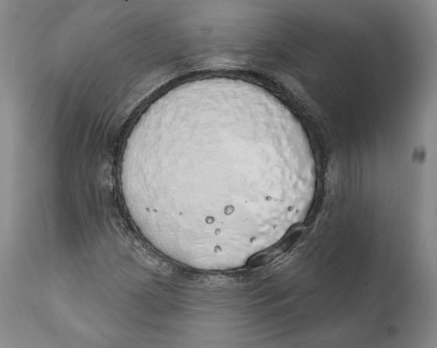 X0000110761209200907061046