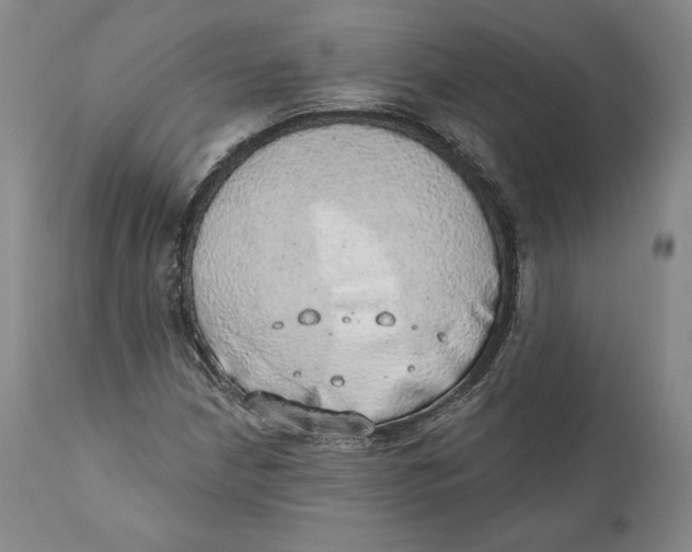 X0000110761210200907061047