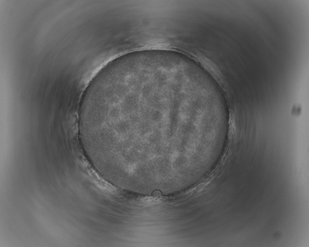 X0000110761212200907061047