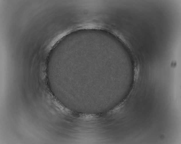 X0000110761213200907061047