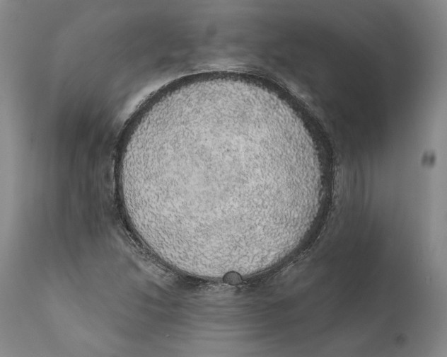 X0000110761214200907061047