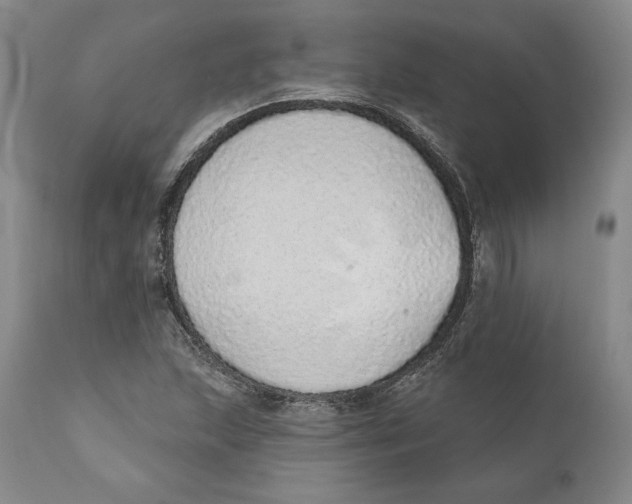 X0000110761215200907061047