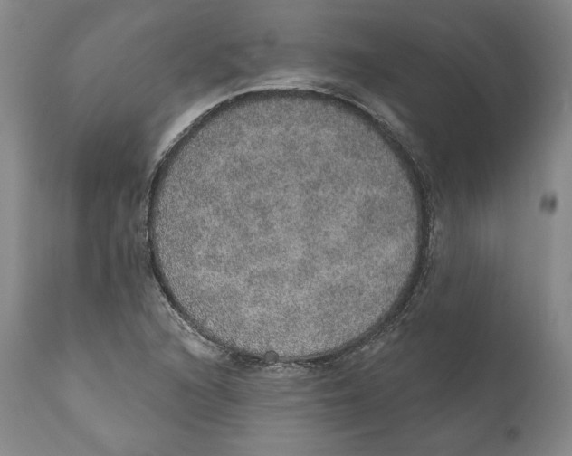 X0000110761216200907061047