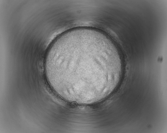 X0000110761218200907061047