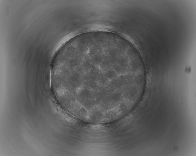 X0000110761219200907061047