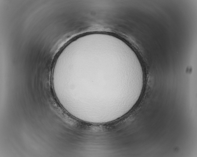 X0000110761220200907061047