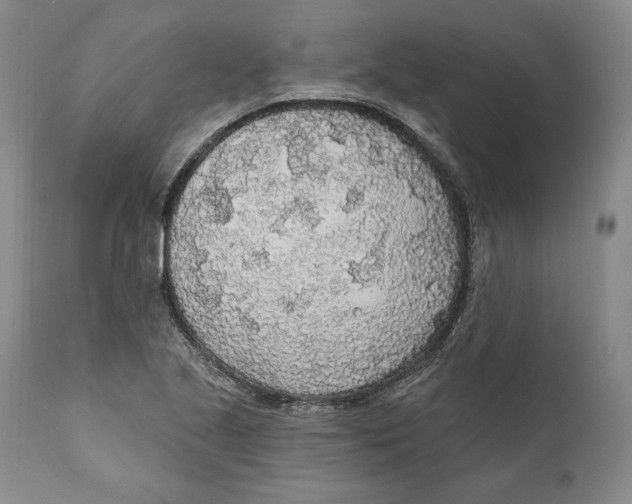X0000110761221200907061047