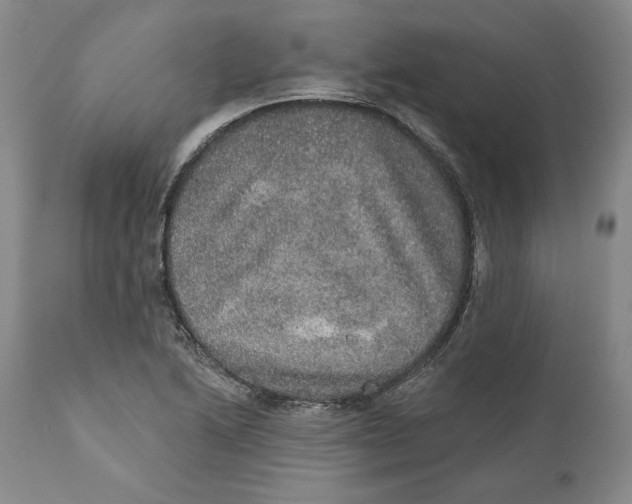 X0000110761222200907061047