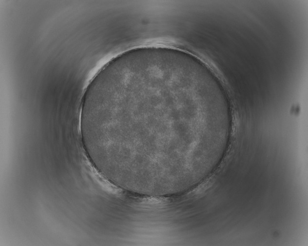 X0000110761224200907061047