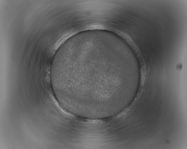 X0000110761225200907061047
