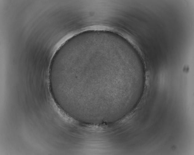 X0000110761229200907061047