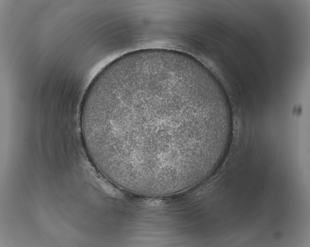X0000110761230200907061047