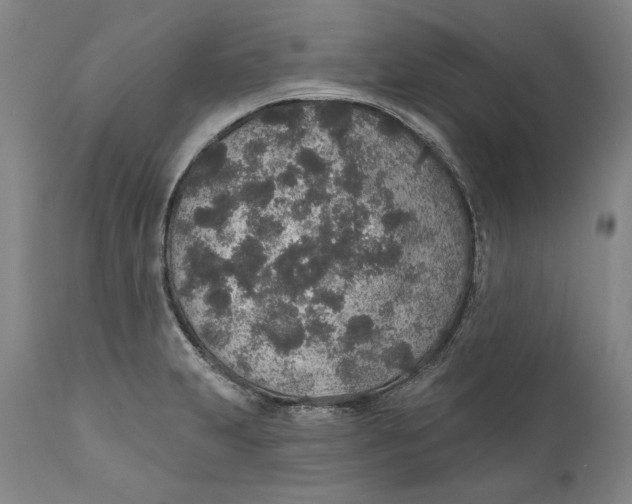 X0000110761231200907061047