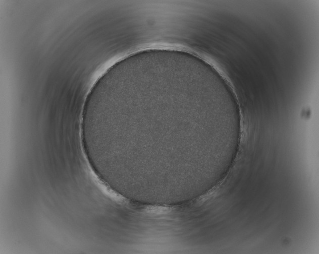 X0000110761237200907061047