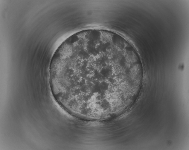 X0000110761239200907061047