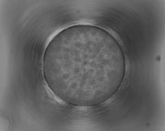 X0000110761240200907061047