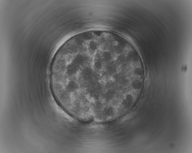 X0000110761243200907061047