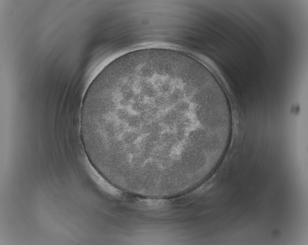 X0000110761244200907061047