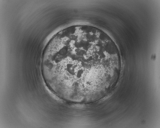 X0000110761245200907061047