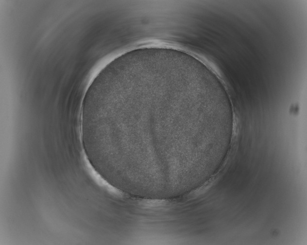 X0000110761247200907061047