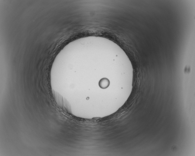 X0000110761249200907061046