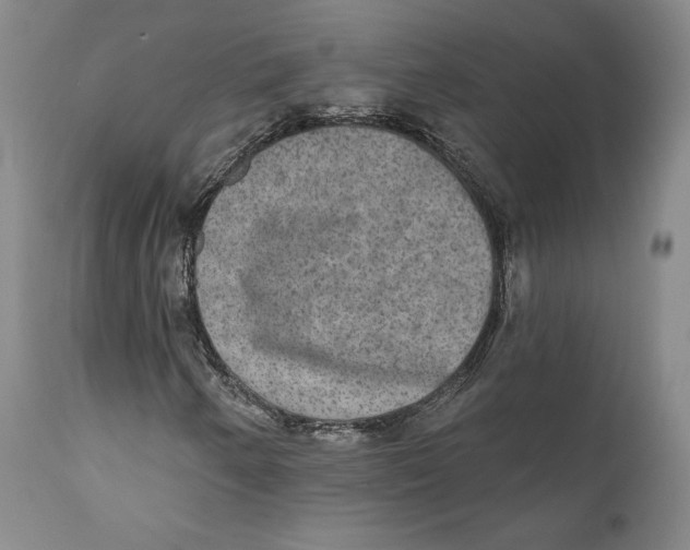 X0000110761250200907061046