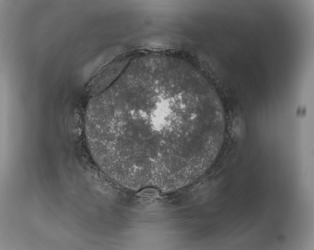 X0000110761253200907061046