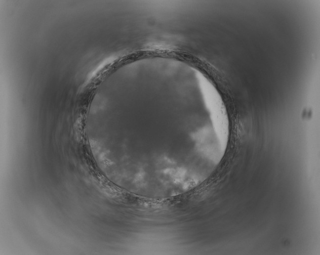 X0000110761254200907061046