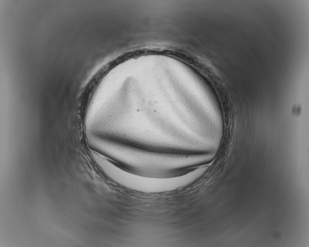 X0000110761256200907061046