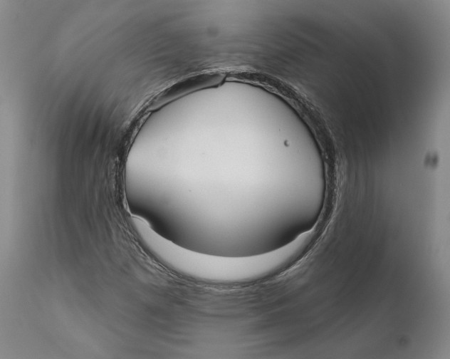 X0000110761257200907061046