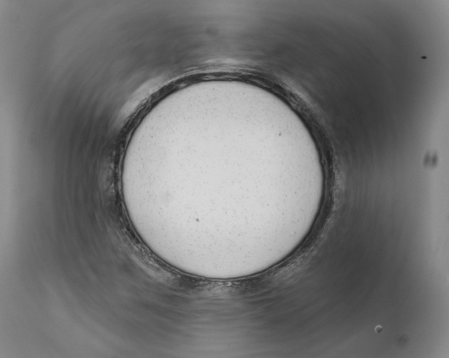 X0000110761259200907061046