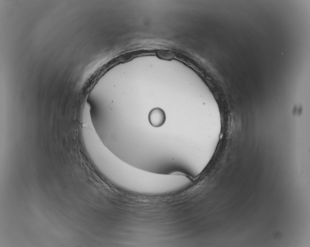 X0000110761261200907061046