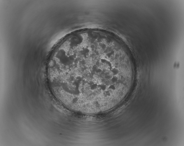 X0000110761263200907061046