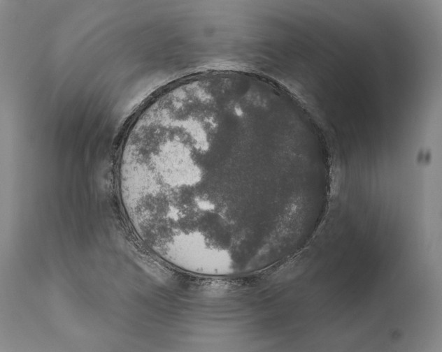 X0000110761266200907061046