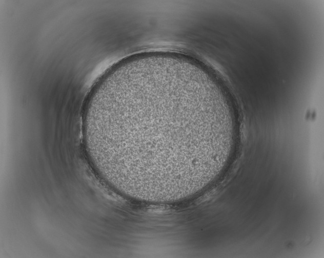 X0000110761267200907061046