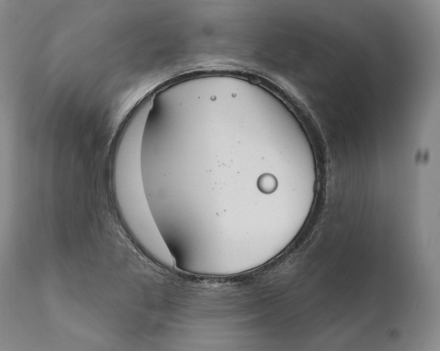 X0000110761269200907061046