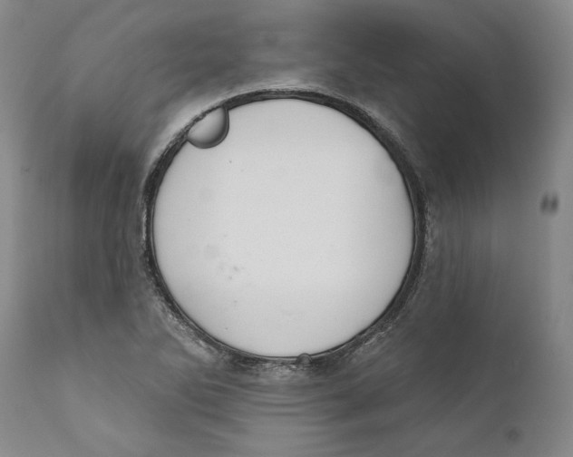X0000110761270200907061046