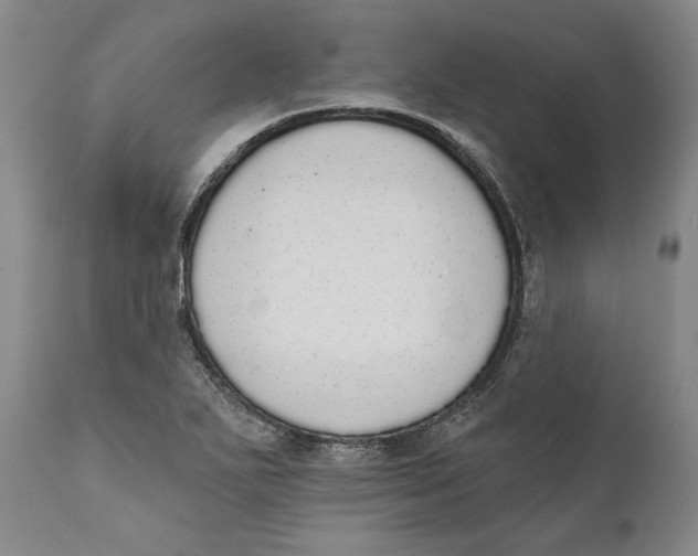 X0000110761271200907061046