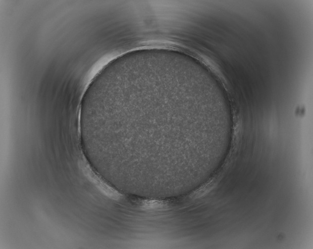 X0000110761275200907061046