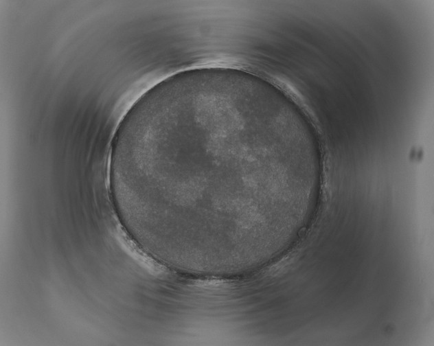 X0000110761276200907061046