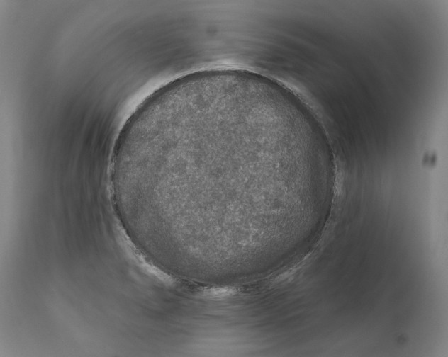 X0000110761278200907061046