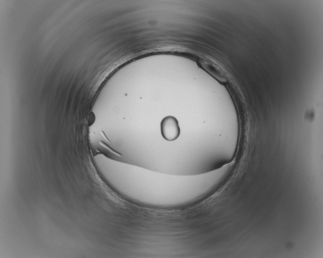X0000110761281200907061046