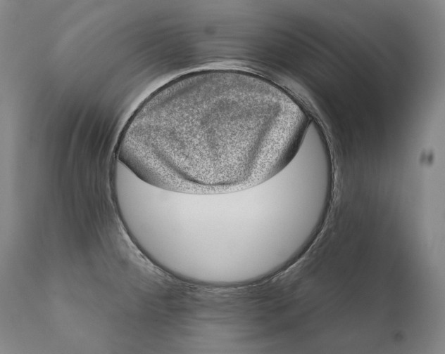 X0000110761284200907061046