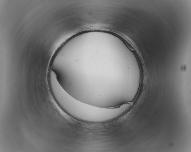 X0000110761285200907061046