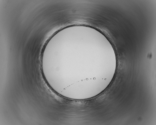 X0000110761286200907061046